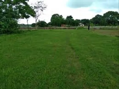 Residential Plot for Sale in New Roshanpura